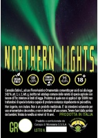 northern-lights-canapa-di-maremma_2020869343