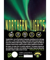 northern-lights-canapa-di-maremma_2020869343